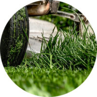 yard-waste-grass-clippings
